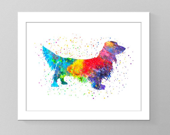 570x453 Dachshund Watercolor Wall Art Printable Home Decor Dog Nursery Etsy - Dachshund Watercolor