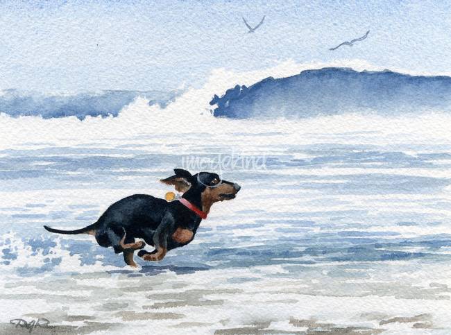 650x483 Stunning Dachshund Watercolor Painting Reproductions For Sale On - Dachshund Watercolor