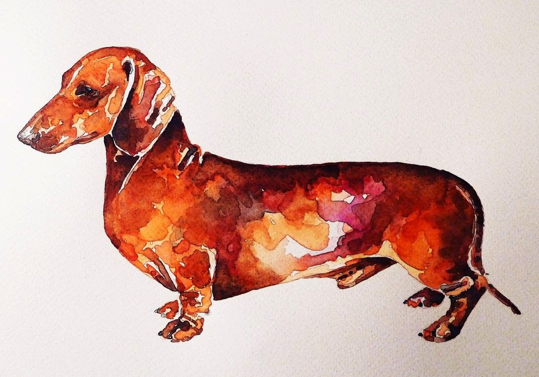 1100x769 Watercolors Of Dachshunds - Dachshund Watercolor