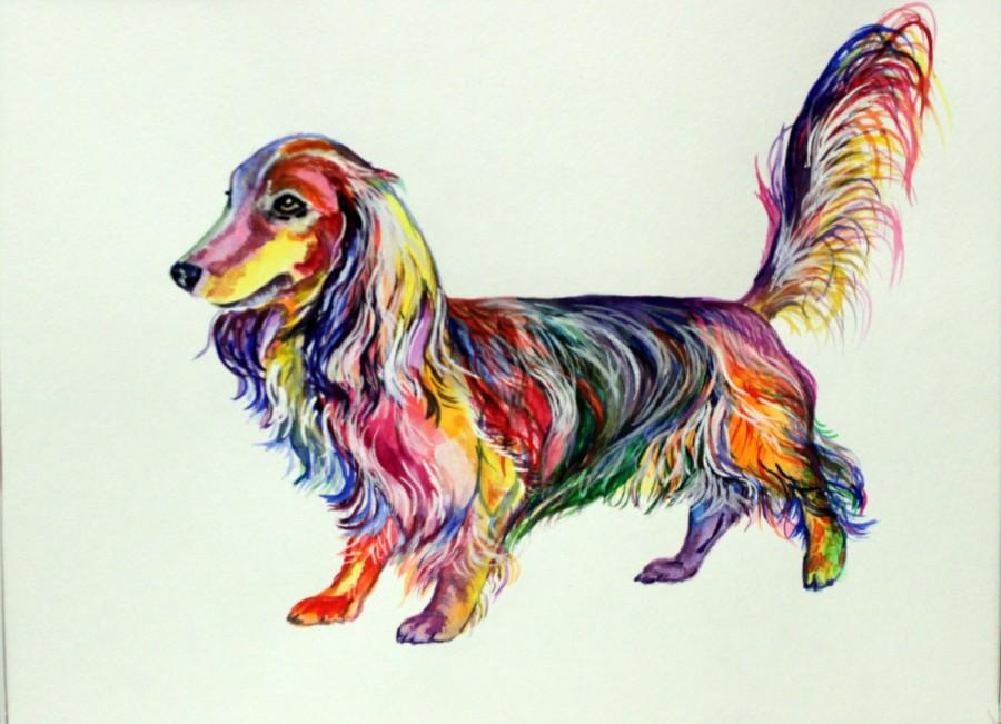 900x651 Dachshund Longhair Art Print On Canvas Dog Watercolor Painting - Dachshund Watercolor