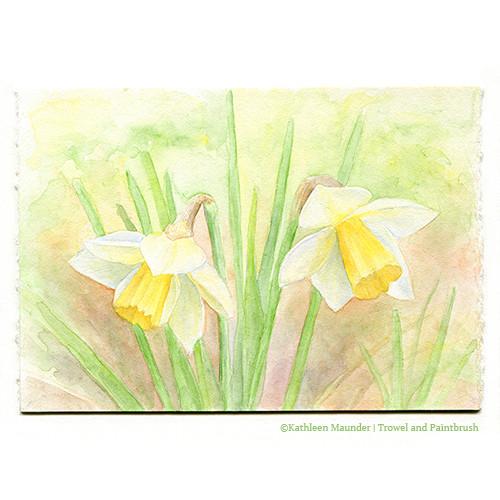 500x500 Daffodil Watercolor Painting - Daffodil Watercolor