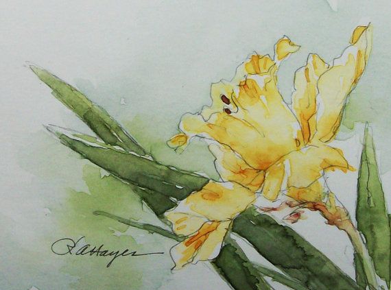 570x423 Green Umbrella In The Rain Watercolor Painting Original Aceo - Daffodil Watercolor