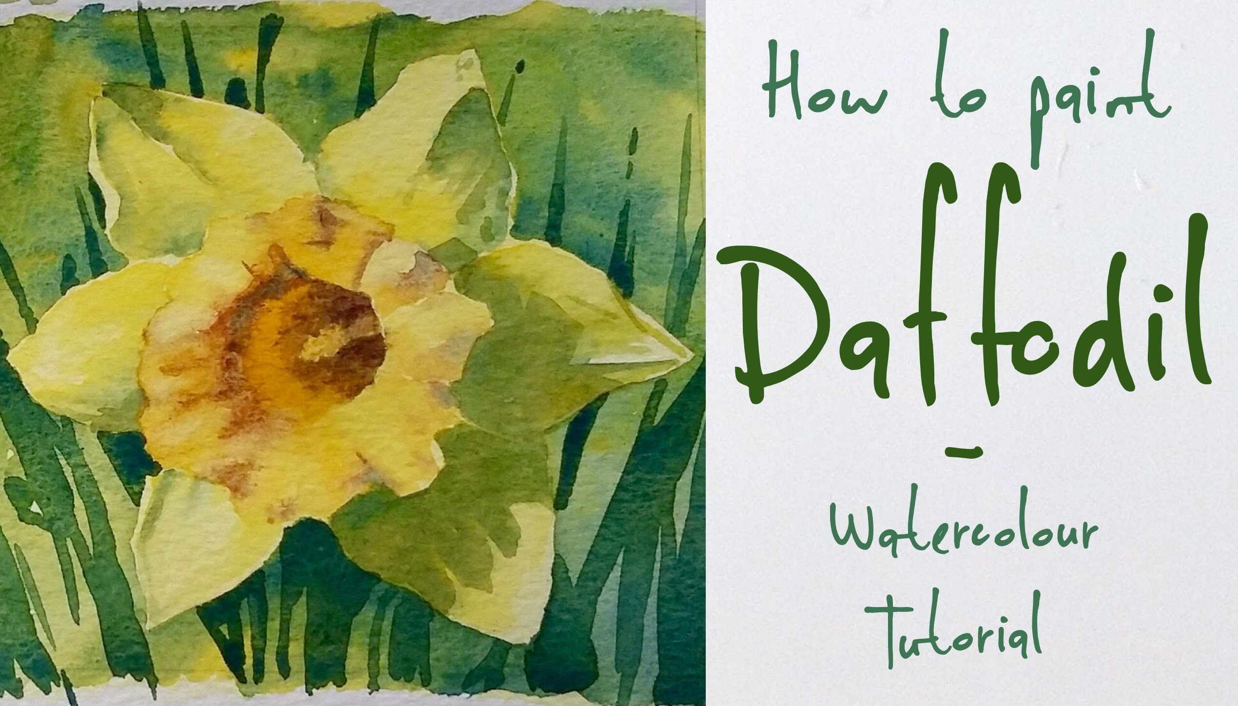 2540x1448 How To Paint A Daffodil Flower - Daffodil Watercolor