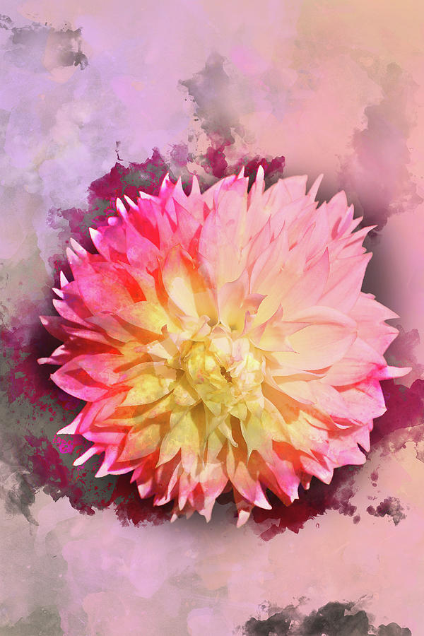 600x900 Dahlia Watercolor Photograph By Sgphoto - Dahlia Watercolor