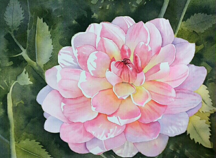 690x504 Dahlia By Artist Poulami Basu Impressionism, Painting Mojarto - Dahlia Watercolor