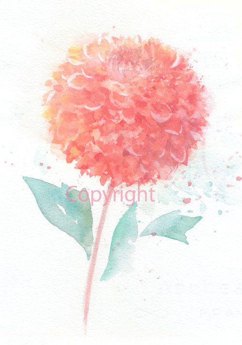 500x711 Fine Art Watercolor Painting, Flower Art, Pink Dahlia Watercolor - Dahlia Watercolor