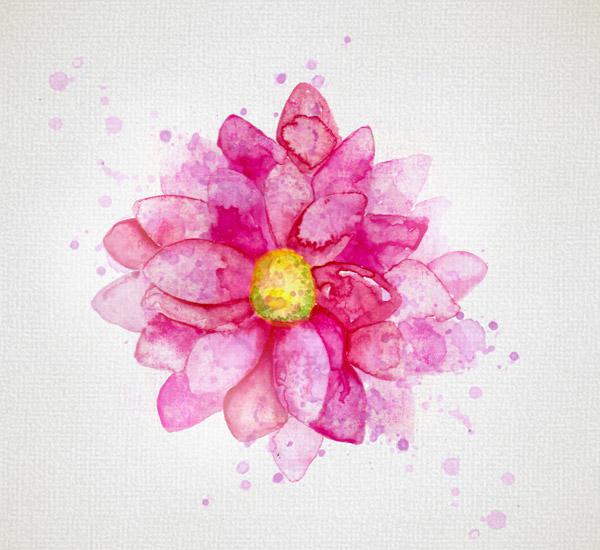 600x550 Watercolor Dahlia Flower [Ai] - Dahlia Watercolor