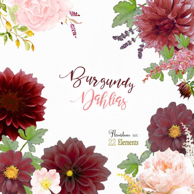 642x642 Burgundy Dahlia Watercolor Clipart Bordo Bordeaux Wine Marsala Etsy - Dahlia Watercolor