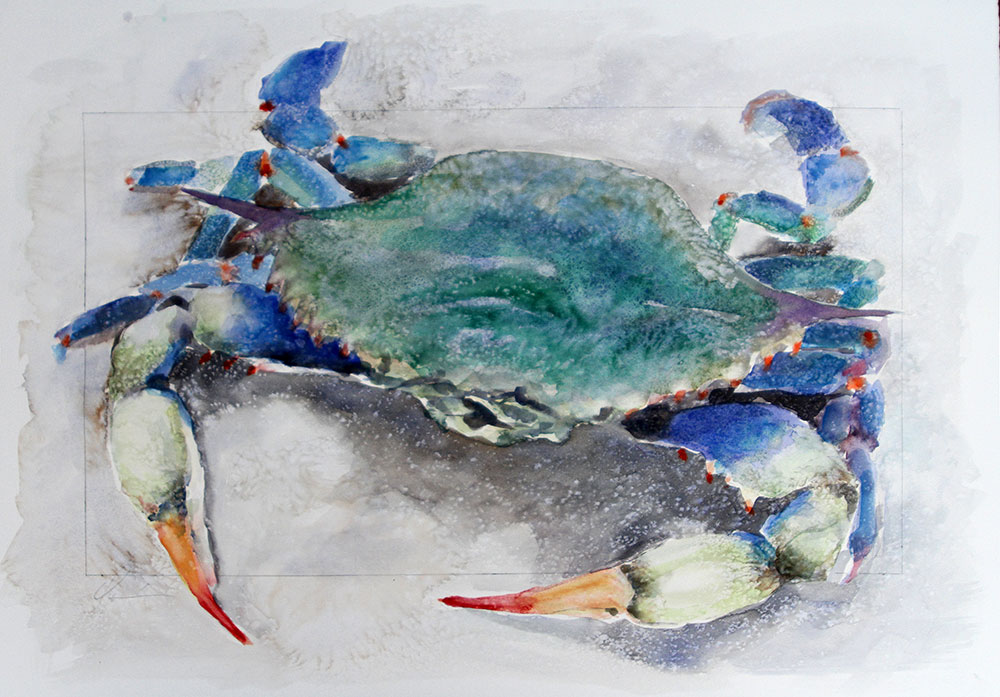 1000x697 Clair Hartmann Daily Painting Coastal Crab Watercolor - Daily Watercolor