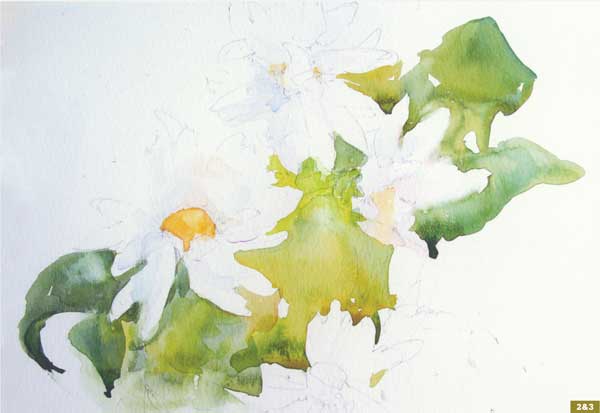 600x413 How To Paint A Watercolor Floral Still Life Step By Step Artist - Daisy Flower Watercolor