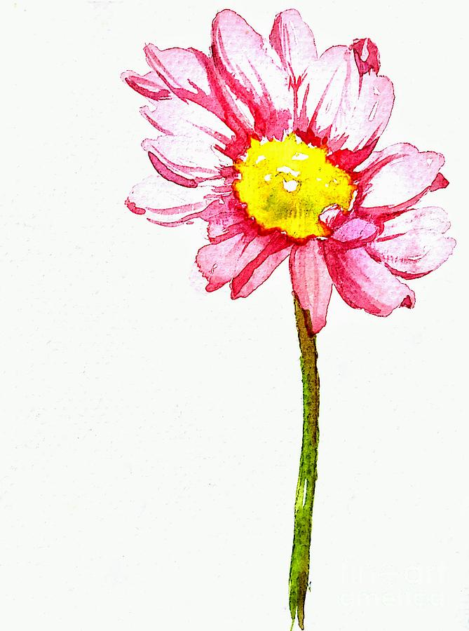 669x900 Pink Daisy Flower With Yellow Stamen In Watercolor Painting By - Daisy Flower Watercolor