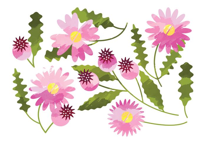 700x490 Vector Watercolor Daisy Flower Elements - Daisy Flower Watercolor