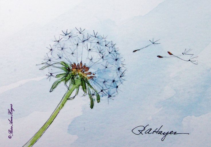 736x515 Dandelion In The Wind Print Of Watercolor Painting Aceo Art - Dandelion Watercolor