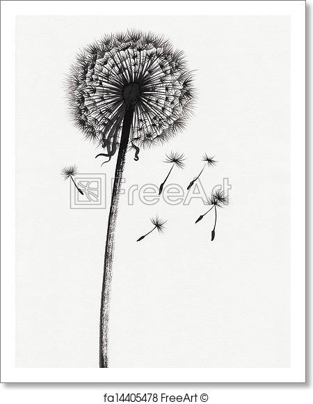 450x580 Free Art Print Of Dandelion Watercolor Painted Image. Watercolor - Dandelion Watercolor