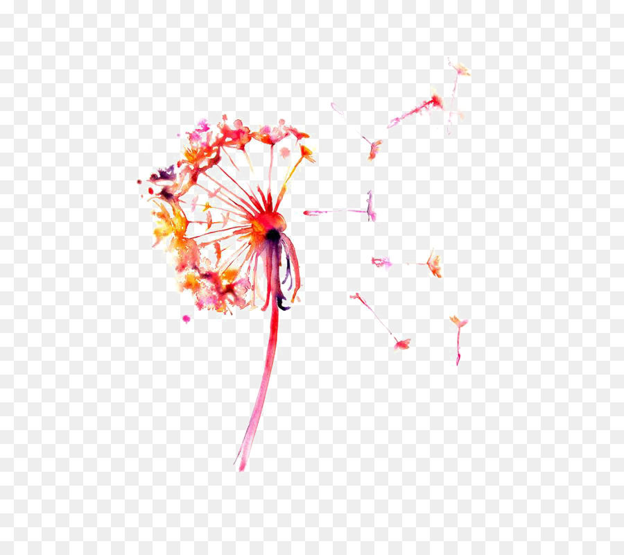 900x800 Watercolor Painting Drawing Dandelion Printmaking - Dandelion Watercolor