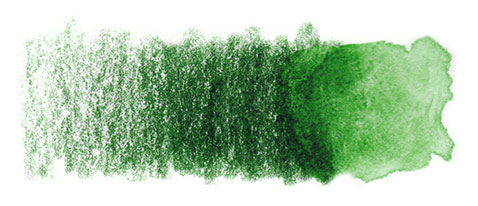 478x206 - Dark Green Watercolor