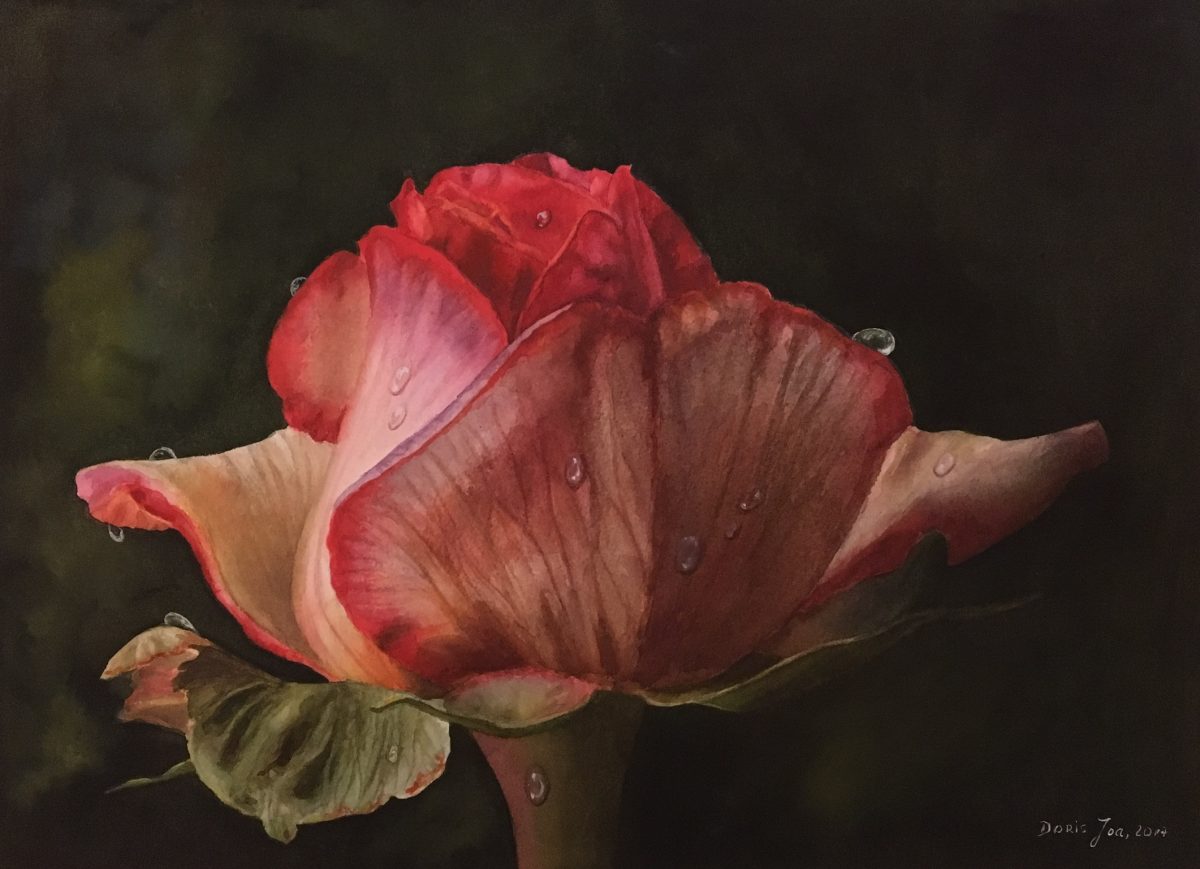 1200x869 Red Rose Painting On Dark Background In Watercolor Watercolor - Dark Watercolor Painting