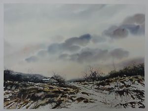 300x225 David M Band Watercolor Plein Air Landscape Southwest Texas Barn - David Watercolor