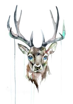 235x333 32 Best Watercolor Deer Images In 2018 Watercolor - Deer Head Watercolor