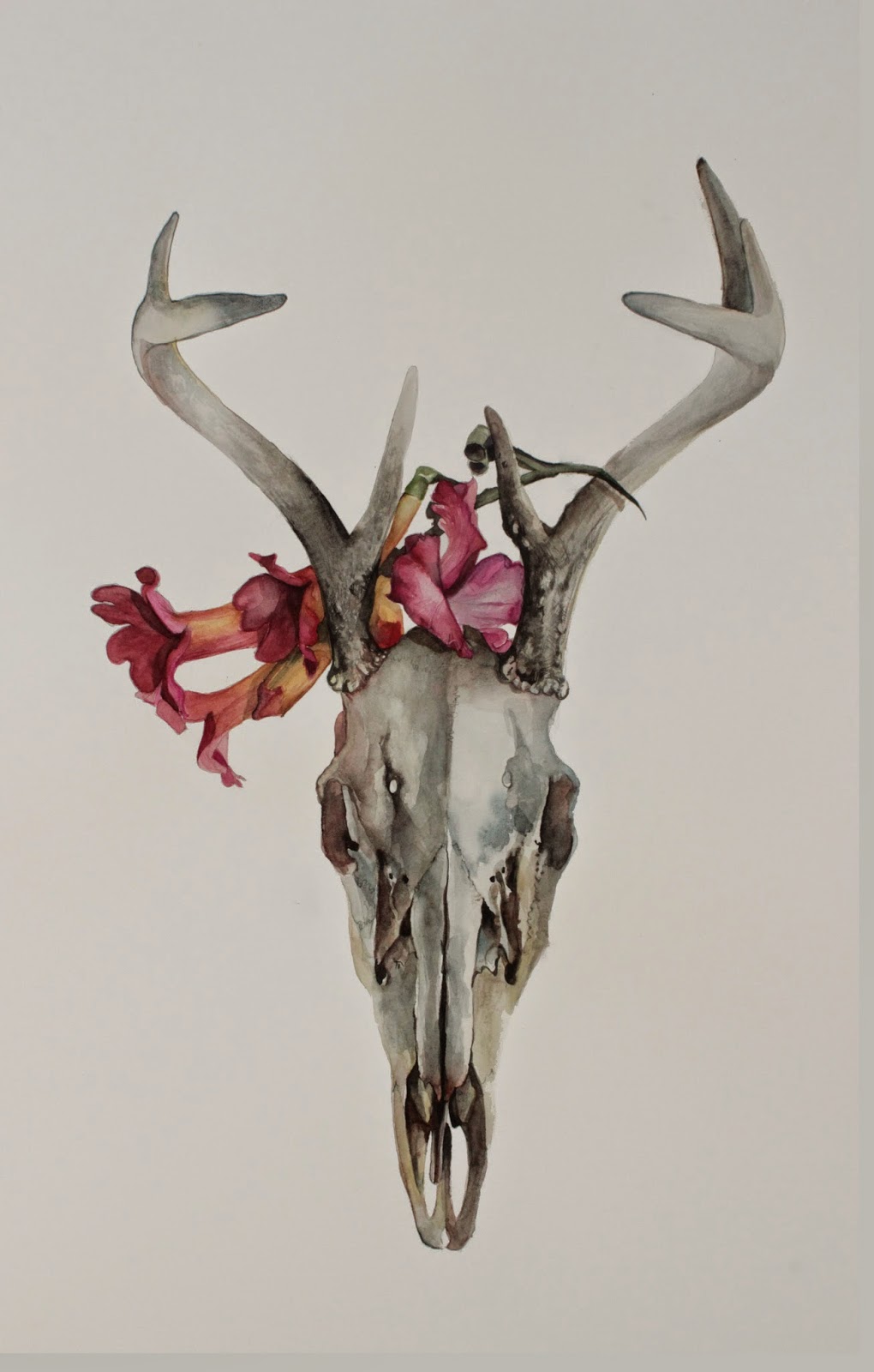 1020x1600 Deer Skull Watercolor - Deer Skull Watercolor