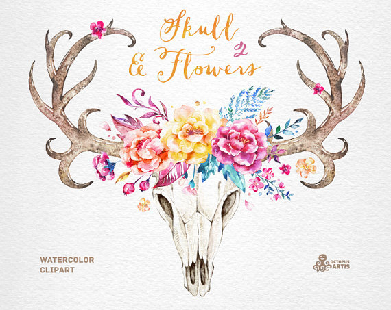 570x453 Skull Amp Flowers 2. Watercolor Skulls With Antlers Por Octopusartis - Deer Skull Watercolor