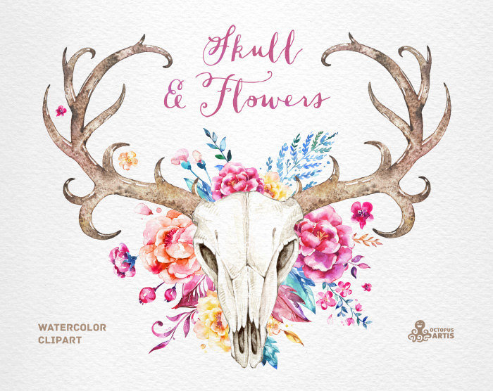 700x556 Skull Amp Flowers. Watercolor Skulls With Antlers - Deer Skull Watercolor