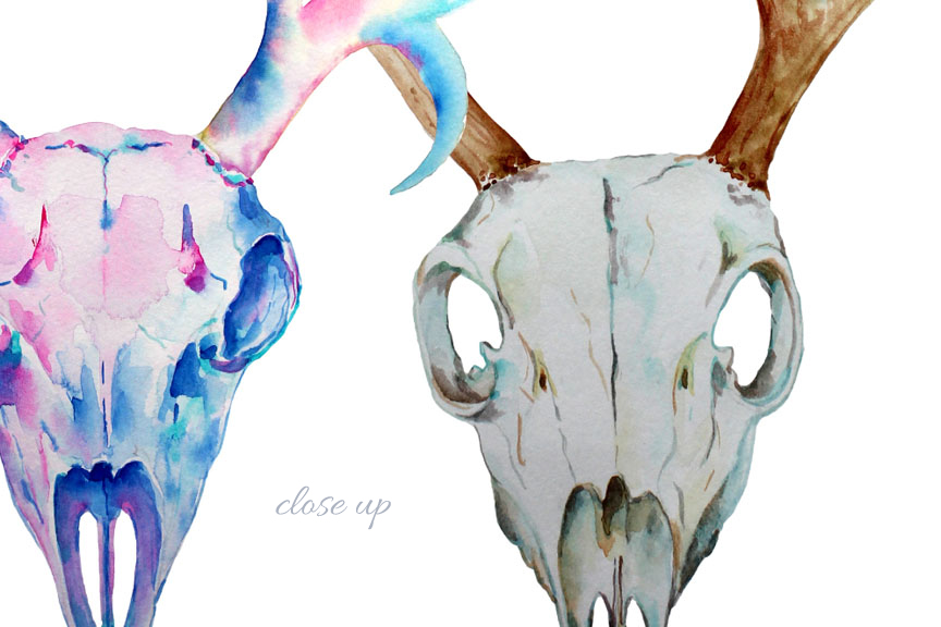 864x576 Watercolor Deer Skull Clipart By Cornercroft - Deer Skull Watercolor