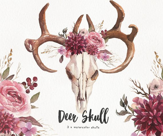 570x475 Watercolor Deer Skulls 3 W Antlers Amp Flowers. Wedding Etsy - Deer Skull Watercolor