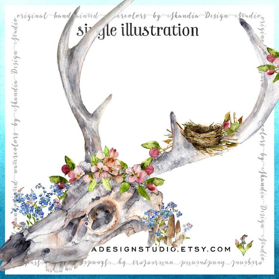 570x570 Watercolor Deer Skull Clip Art Floral Clipart Woodland Etsy - Deer Skull Watercolor