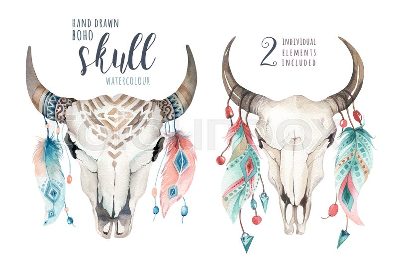 800x532 Watercolor Bohemian Cow Skull And Feather. Western Mammals. Boho - Deer Skull Watercolor