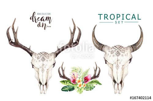 500x329 Watercolor Bohemian Cow Skull And Tropic Palm Leaves. Western Deer - Deer Skull Watercolor
