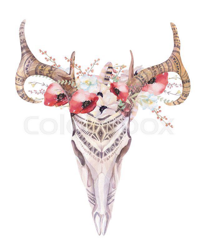 648x800 Watercolor Bohemian Deer Skull. Western Mammals. Watercolour Boho - Deer Skull Watercolor