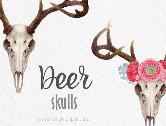 570x433 Watercolor Clipart Deer Clipart Skull Flower Crown Digital Etsy - Deer Skull Watercolor