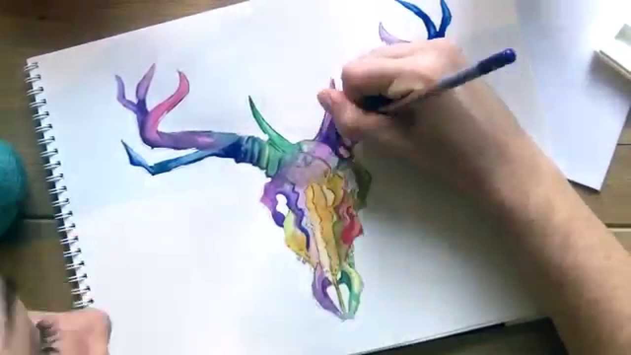 1280x720 Deer Skull Painting W Watercolor Pencils - Deer Skull Watercolor