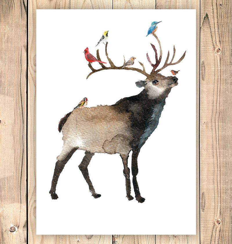 800x842 Deer Ii - Deer Watercolor