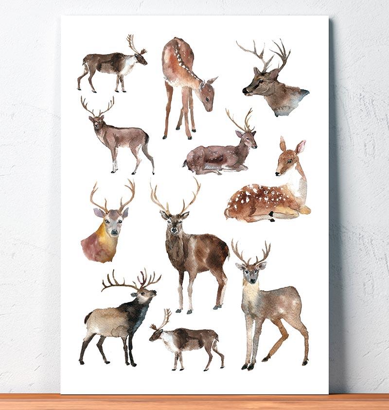 800x842 Deer Collage - Deer Watercolor