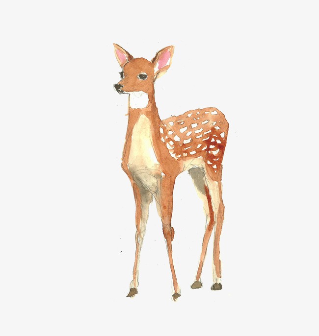 650x686 Watercolor Deer, Watercolor Clipart, Deer Clipart, Watercolor Png - Deer Watercolor