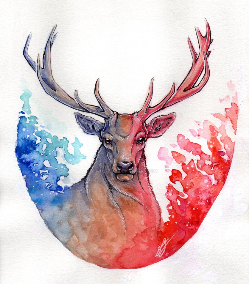 836x956 Watercolor Deer By Wolflinx - Deer Watercolor