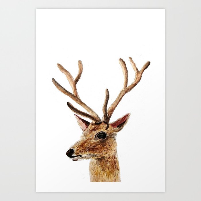 700x700 Deer Watercolor Painting Art Print By Colorandcolor Society6 - Deer Watercolor
