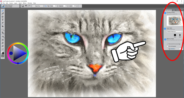 640x343 Detailed Watercolor Cat Painting - Detailed Watercolor