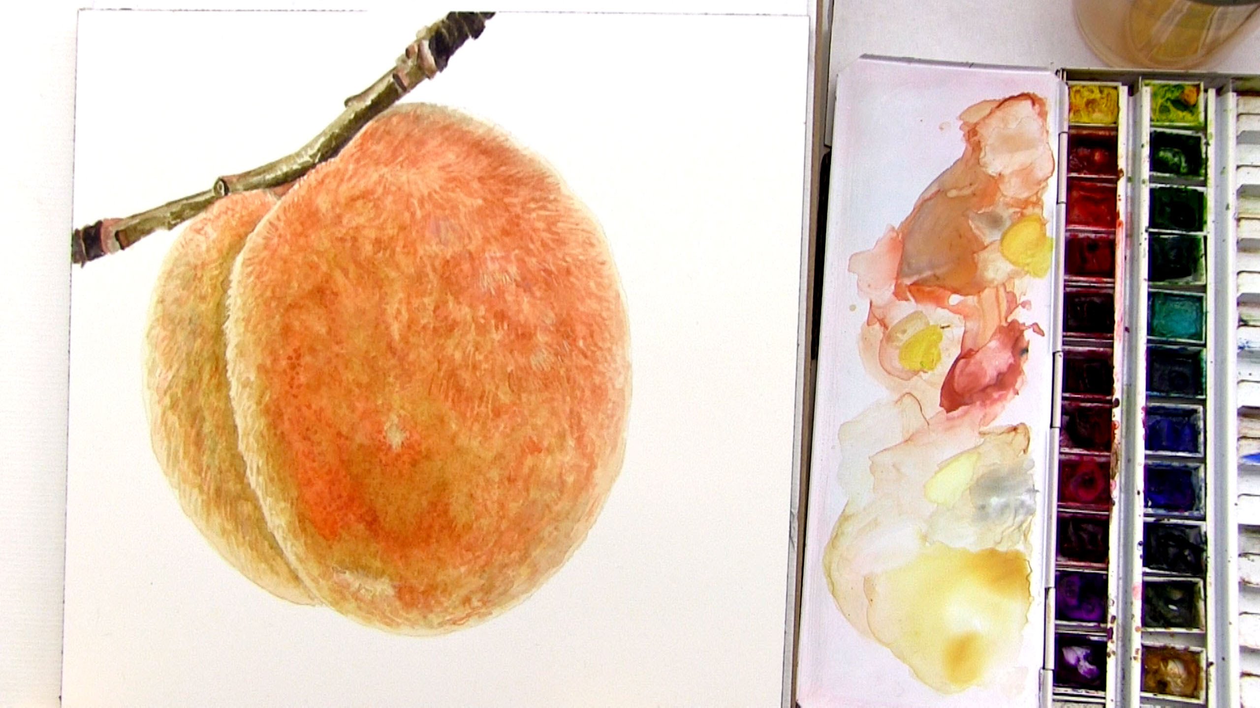 2560x1440 How To Paint A Detailed Realistic Branch In Watercolor - Detailed Watercolor