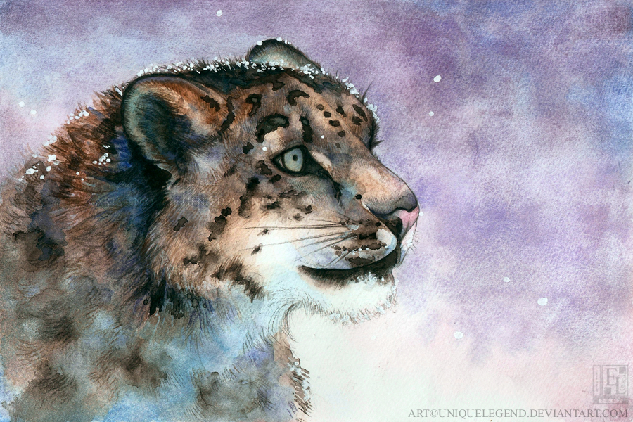900x600 Drawn Snow Leopard Watercolor - Deviantart Watercolor