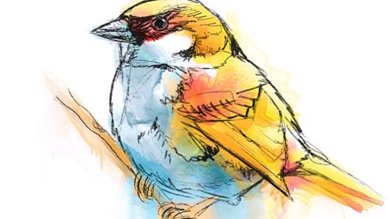 1280x720 Sparrow - Digital Watercolor