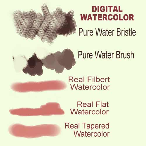 500x500 Corel Painter Digital Watercolor Brushes - Digital Watercolor