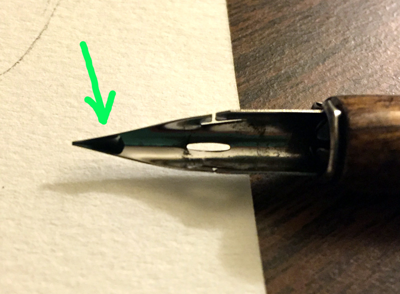 800x588 Fixing Up The Red Poppies Watercolor Jasmine Ray - Dip Pen Watercolor