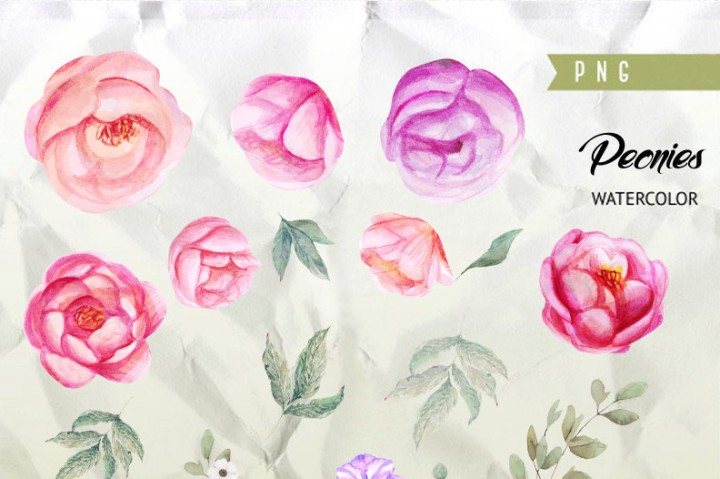 720x479 Peonies Watercolor Flowers Clipart. Boho, Hand Painted Watercolour - Diy Watercolor Flowers