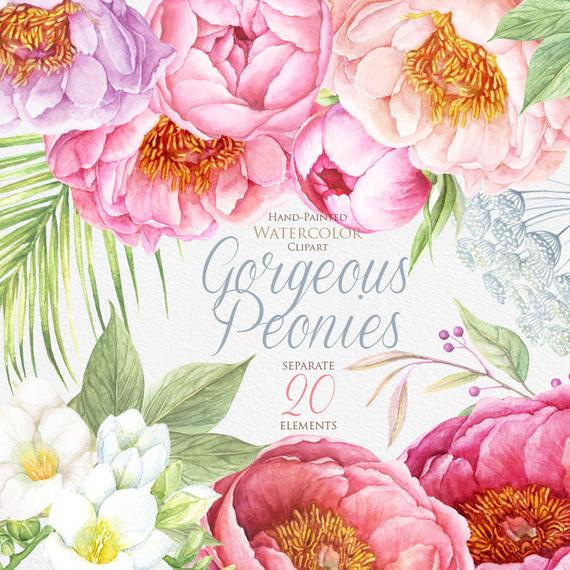 570x570 Peonies Watercolor Flowers Clipart. Boho Hand Painted Etsy - Diy Watercolor Flowers