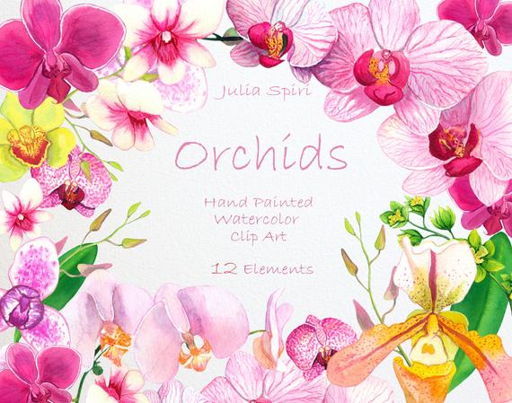 570x449 Watercolor Flowers Clipart Orchids Hand Painted Floral Clip Etsy - Diy Watercolor Flowers