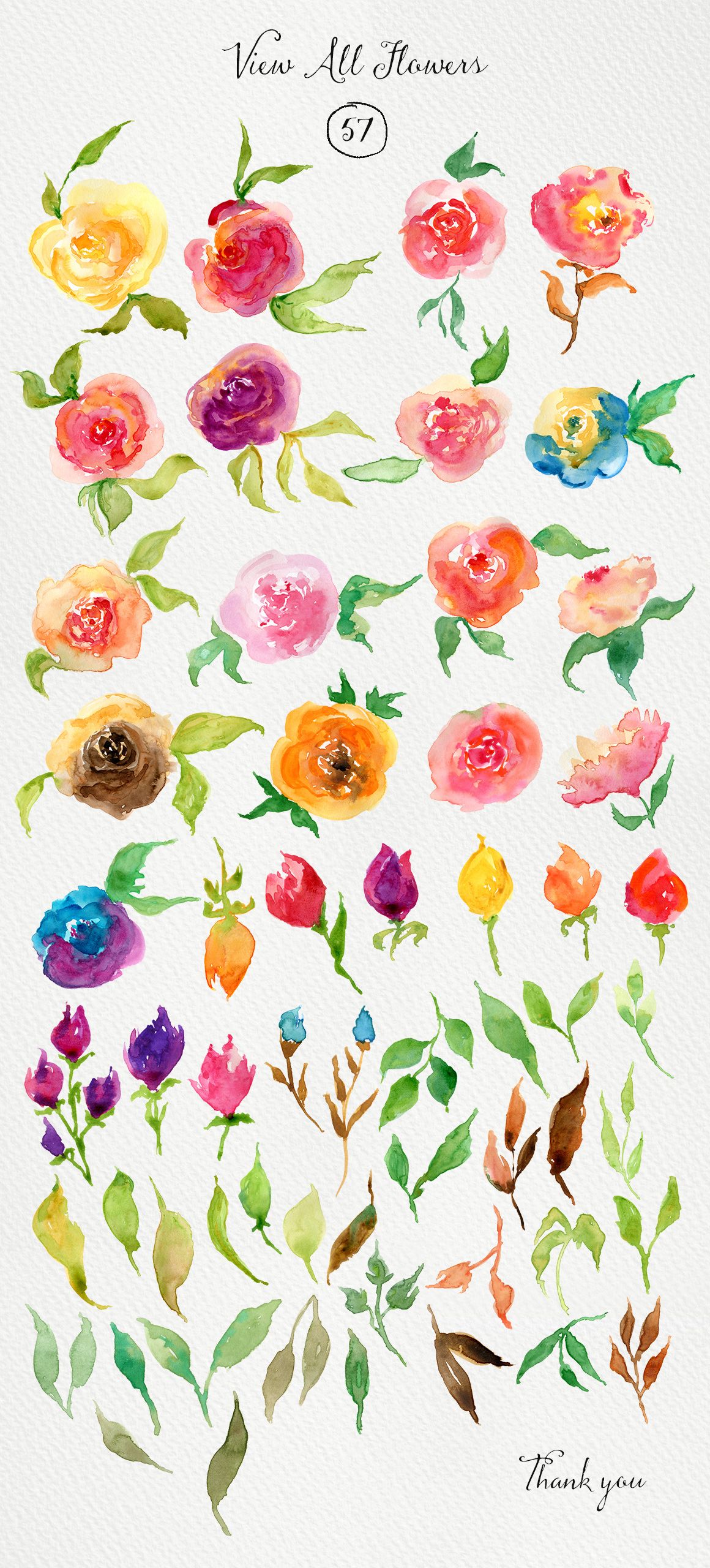 1160x2560 Watercolor Roses Diy By Webvilla On Creative Market Art, Crafts - Diy Watercolor Flowers