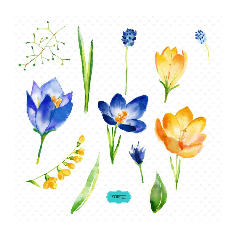 800x800 Watercolor Flowers, Watercolor Cliparts, Hand Painted Watercolor - Diy Watercolor Flowers
